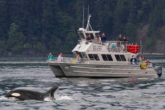 Whale Watching Tour from Anacortes - Final Thoughts: Why This Tour Stands Out