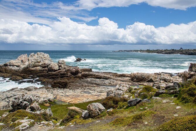 Whale Wonders: Majestic Marine Adventures in Hermanus - Final Thoughts