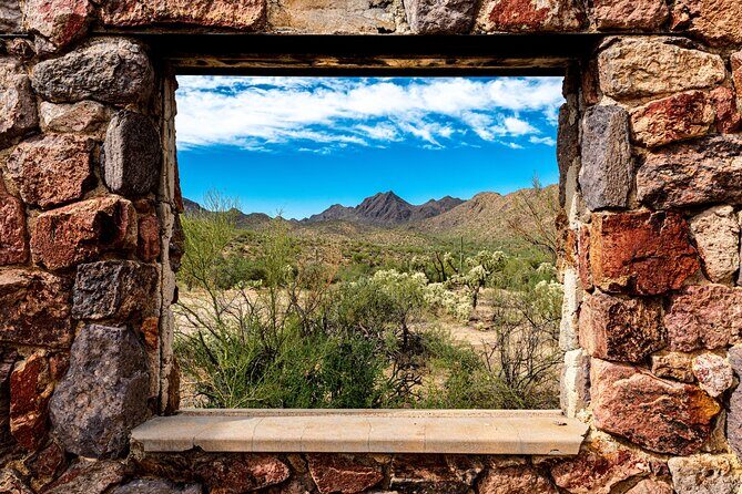 When Nature Calls - Exploring the Sonoran Desert - In The Sum Up