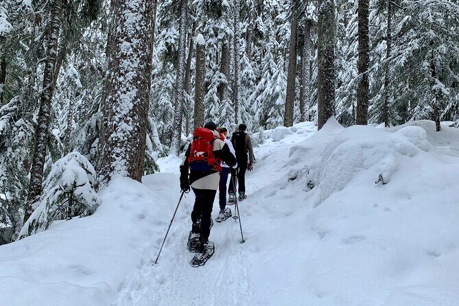 Whistler Lost Lake Snowshoeing and Village Tour - Who This Tour Is Best For