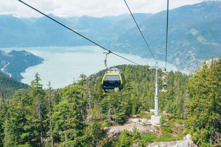 Whistler, Sea to Sky Gondola, and Shannon Falls Day Trip - Practical Details and Value