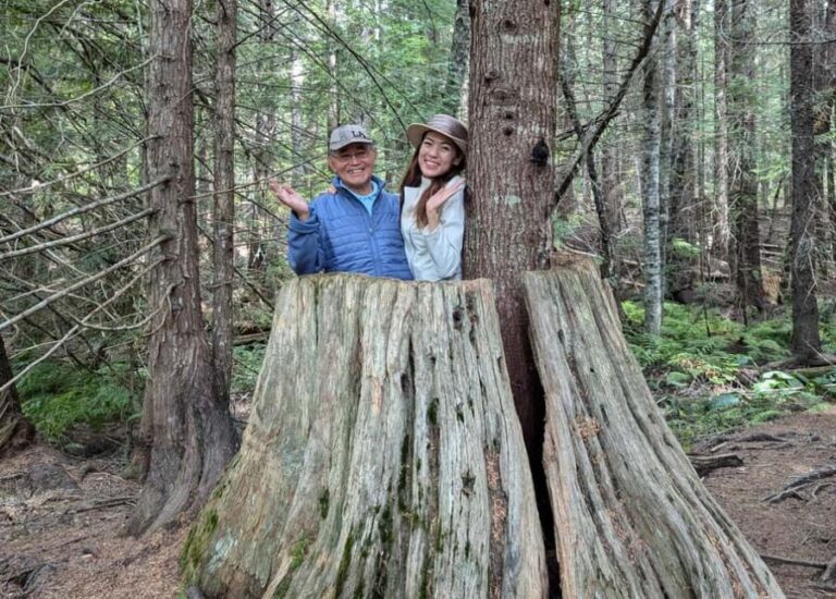 Whistler: Tour, Immersive Nature Experience - Why This Tour Offers Great Value