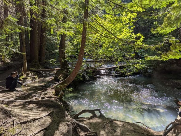 Whistler: Tour, Sensory Nature Experience for Families - What You Can Expect from the Experience