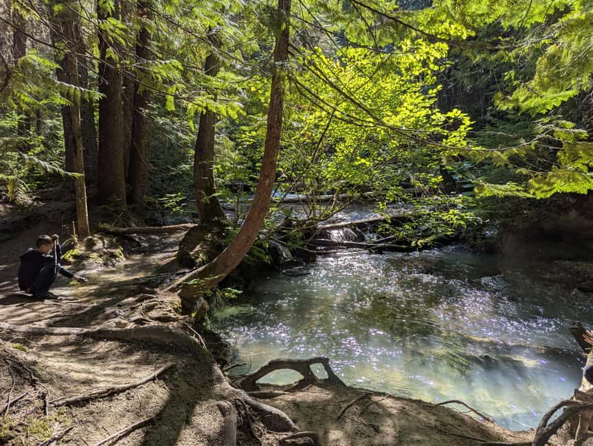Whistler: Tour, Sensory Nature Experience for Families - What You Can Expect from the Experience