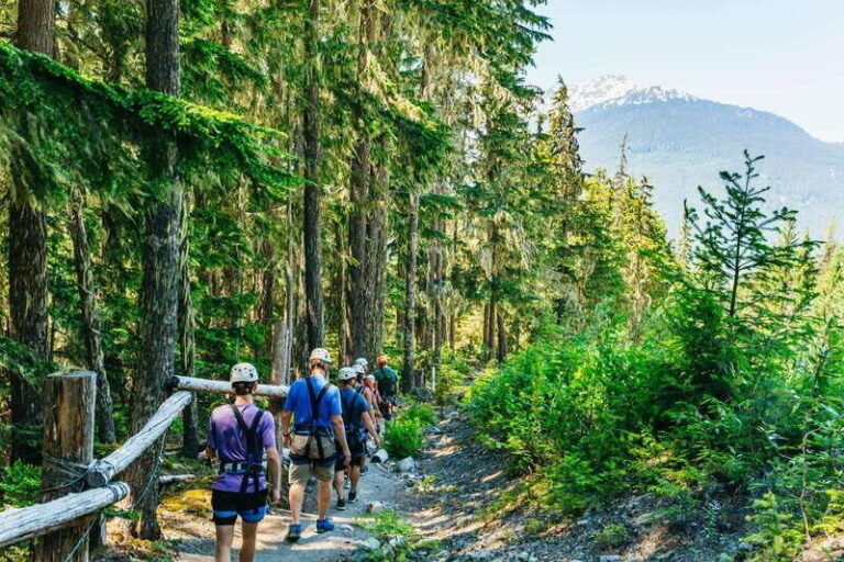 Whistler: Ziplining Experience - Why This Tour Works Well
