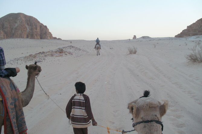 White Canyon 1-Day Camel Safari from Dahab - An In-Depth Look at What to Expect from the White Canyon Camel Safari