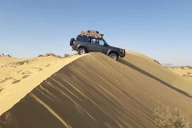 White Desert and Bahariya Oasis Tour From Cairo - Final Words