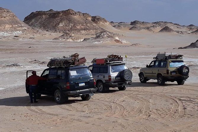 White Desert Safari - The Value: Is It Worth the Price?