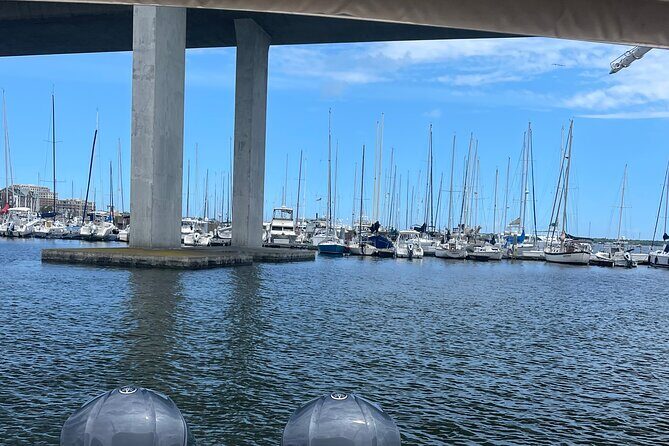 White point Battery and River Run through Charleston Harbor Boat - Practical Tips for Your Charleston Harbor Adventure