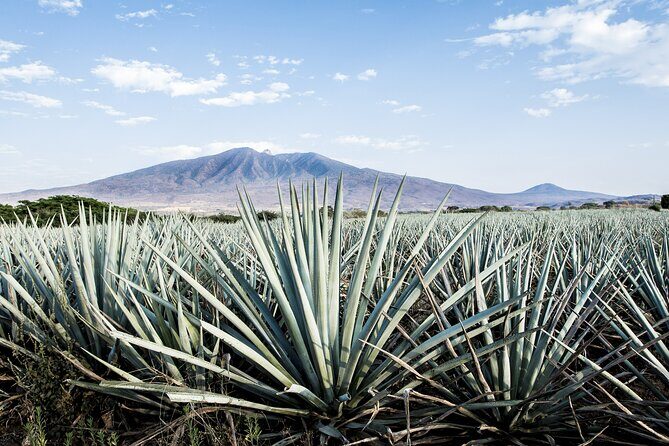 White Sands National Park Self-Guided Driving & Walking Tour - Detailed Breakdown of the Itinerary