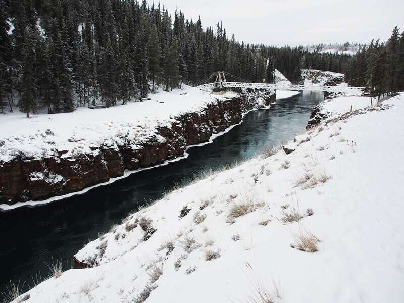 Whitehorse: Half-Day Snowshoeing Tour - What the Tour Entails