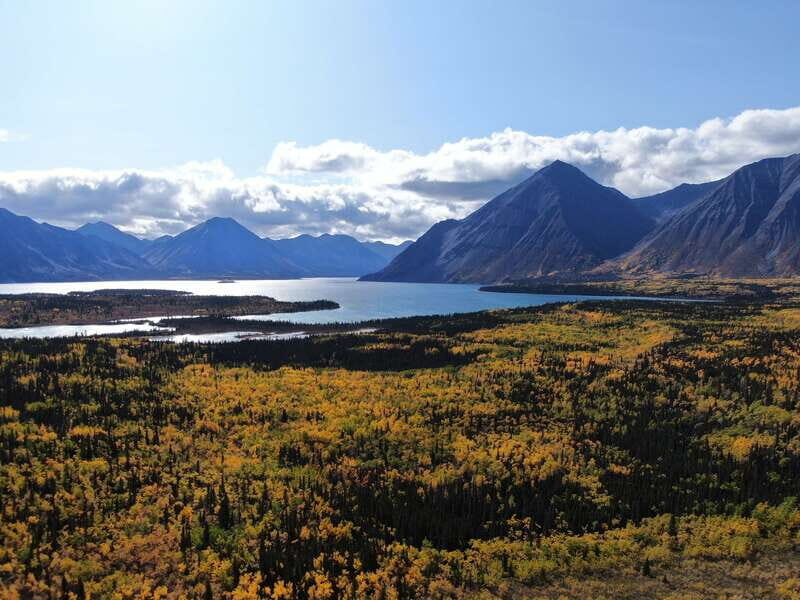 Whitehorse: Kluane - Wildlife & Vistas - The Scenic Drive and Wildlife Encounters