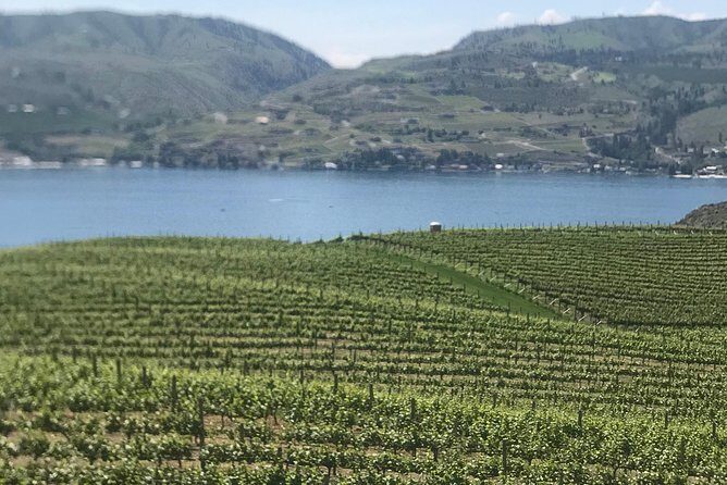 Whitewater and Wine: Wenatchee River Whitewater Rafting and Winery Tour
