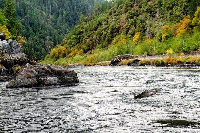 Whitewater Fishing and Rafting Experience in Rogue River - Whats Included and Whats Not