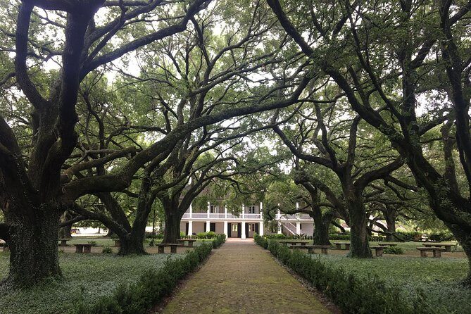 Whitney Plantation and Airboat Tour from New Orleans - The Itinerary Breakdown