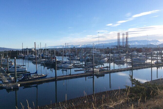 Whittier to Anchorage Sightseeing with Wildlife Tour