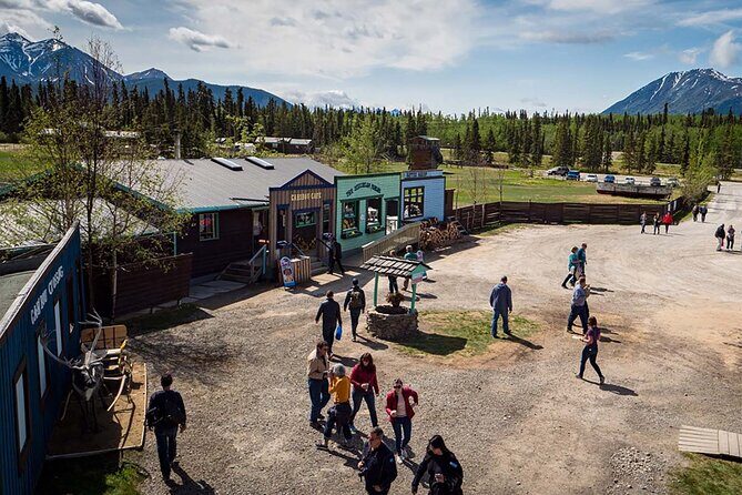 Wild Adventure Yukon Tour into Canada including City and Summit - What Makes This Tour Stand Out