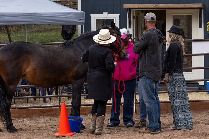 Wild Mustang Experience Near Colorado Springs - The Experience Itinerary in Detail