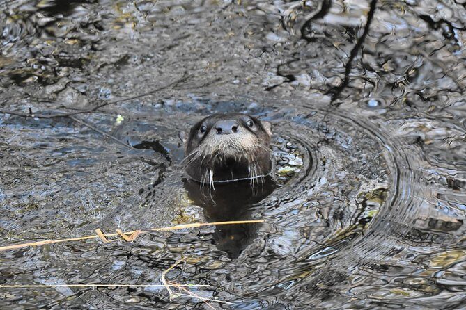 Wild & Scenic Loxahatchee River Guided Tour - What the Guides Bring to the Experience