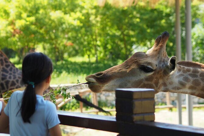 Wildlife and Ancient Expedition Tour in Teotihuacan Safari - Wildlife Encounters at Reino Animal