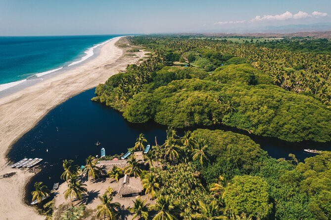 Wildlife Eco Tour on the coast of Oaxaca. - Authentic Experience and Traveler Insights