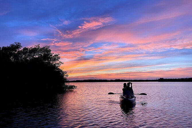 Wildlife Refuge Dolphin, Manatee & Mangrove Kayak or Paddleboarding Tour! - Who Will Love This Tour?