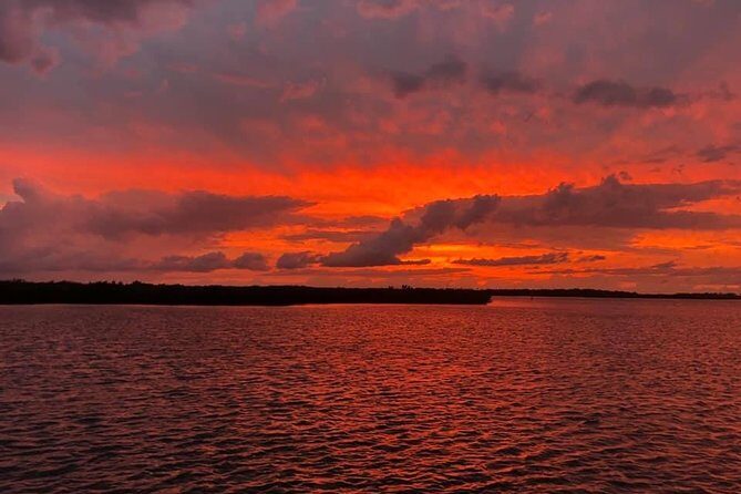 Wildlife Tour of Indian River Lagoon with Experienced Captain - Why This Tour Is a Good Fit