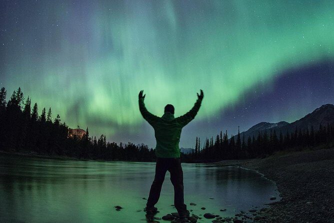 Wildlife Wild Skies: Jasper Planetarium Combo - Who Will Love This Tour?