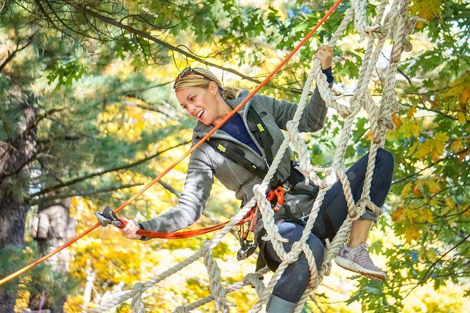 WildPlay Thacher - Classic Adventure Course - What Makes It Valuable?
