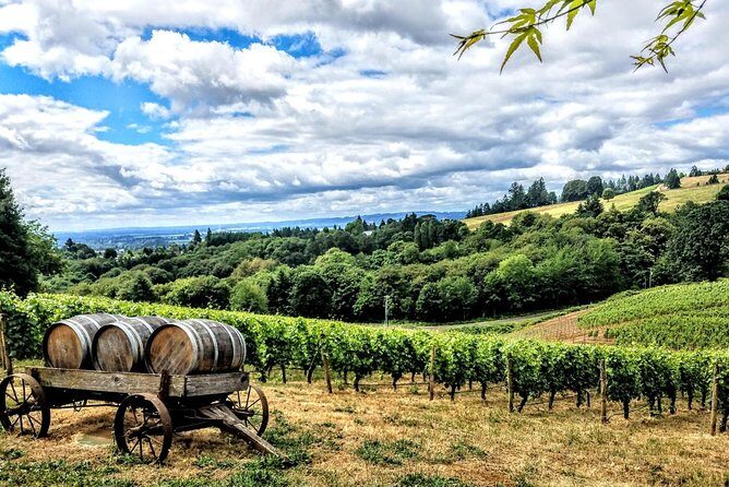 Willamette Valley Wine Tour - Full Day Tour - The Vineyard Stops – What You’ll See and Taste