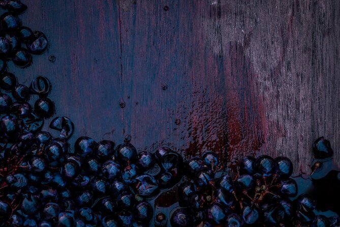 Willamette Wine Tour from Newberg (Tasting Fees Included) - The Bottom Line