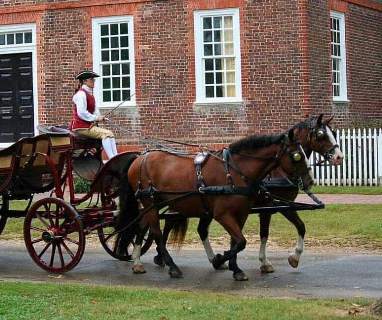 Williamsburg: Colonial Williamsburg Ticket - Practical Tips for Your Visit