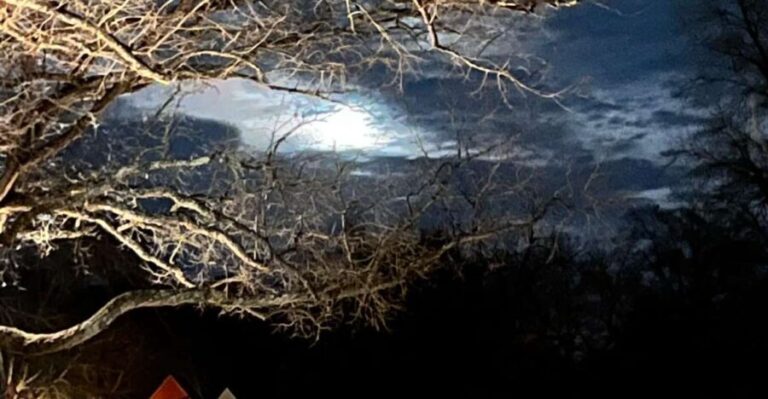 Williamsburg: Dead of Night Paranormal investigations Tour - A Breakdown of the Itinerary and Stops