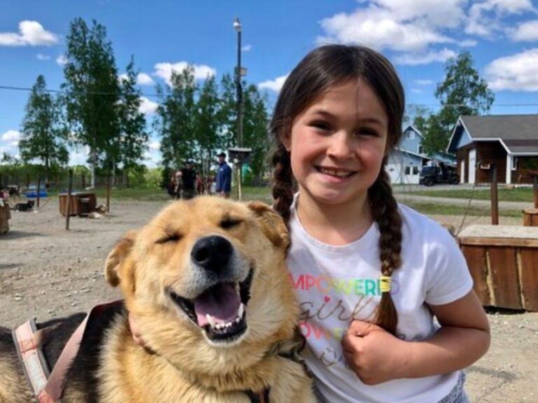 Willow: Summer Dog Sledding Ride in Alaska - Practical Details and What to Expect