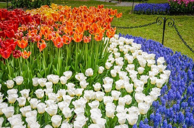Windmill Island 1 Day Tour from Chicago | Kids 50% Off - Authentic Experiences and Traveler Perspectives