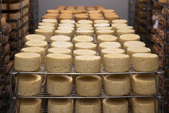 Wine and Cheese Route: Artisan Flavors at Freixenet and Bocanegra - Summing Up: Is This Tour Right for You?