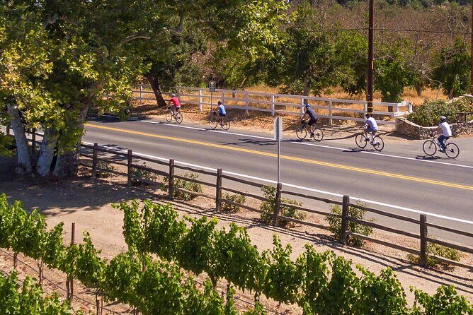 Wine Country E-Bike Guided Tour - w/o Lunch - Who Will Love This Tour?