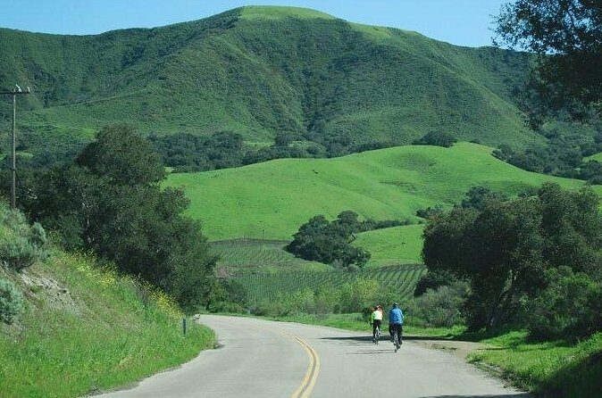 Wine Country Half-Day Bike Tour from Solvang - w/o Lunch - Practical Details and What to Expect