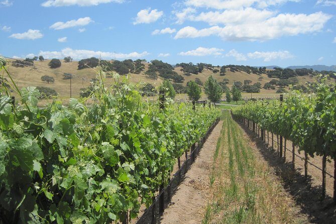 Wine Lovers Tour from Santa Barbara Area - Frequently Asked Questions