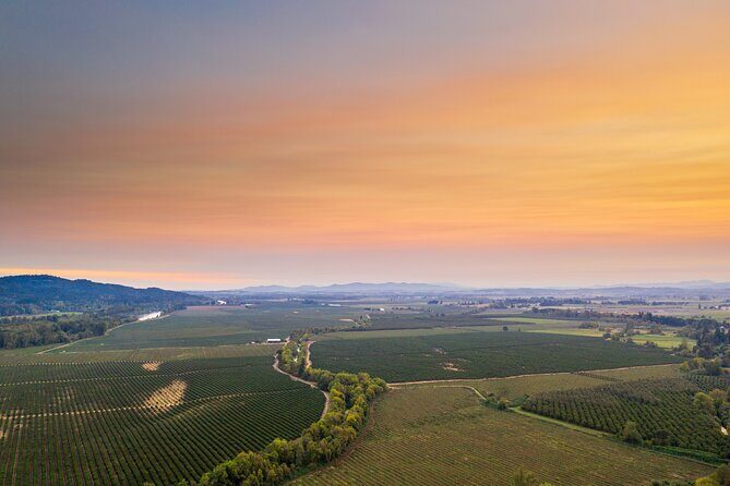 Wine, Stables and Classic Cars Willamette Valley Tour Experience - Exploring the Itinerary: What To Expect