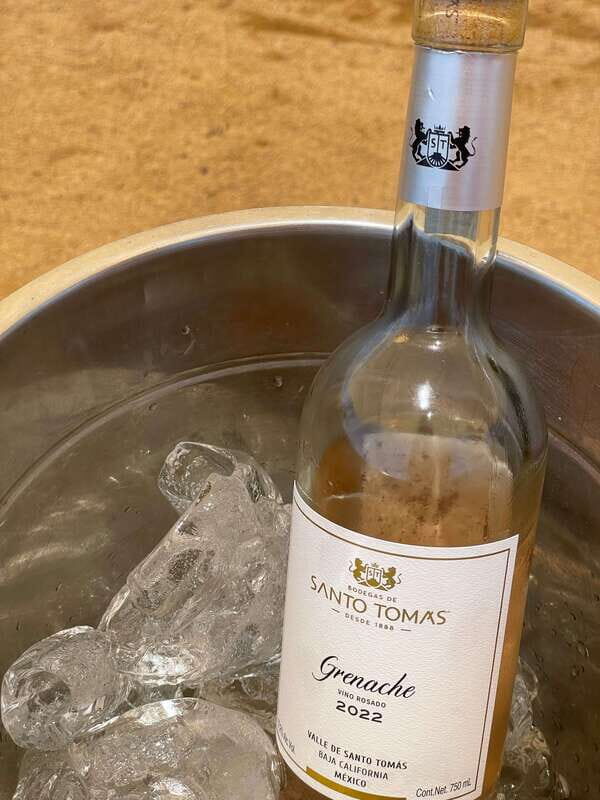 Wine & Tacos Tour at Ensenada. All inclusive! - Who Should Consider This Tour?