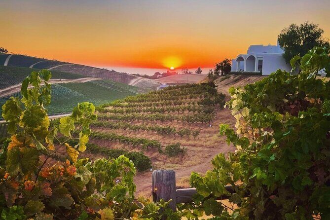 Wine Tasting Audio Tour - Paso Robles CA - Who Will Love This Tour?