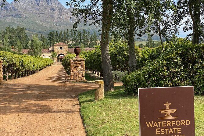 Wine tasting in Cape Winelands Tour - What Travelers Say and Why It Matters