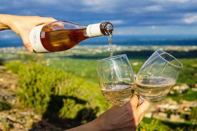 Wine Tasting in Constantia Region Cape Town - Transport & Logistics: Comfort & Convenience