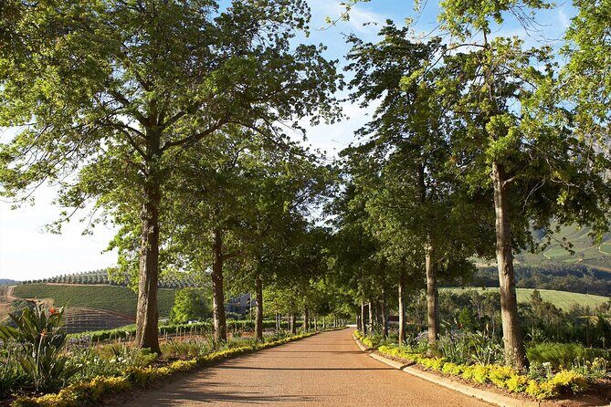 Wine Tasting Private Tour in Cape Winelands - An In-Depth Look at the Itinerary