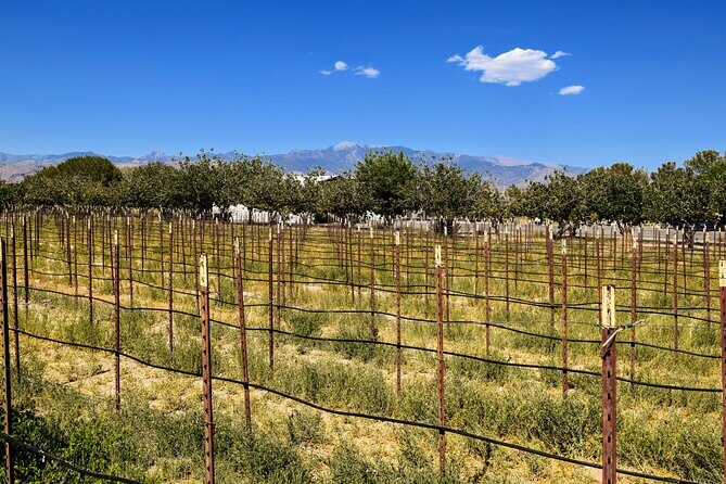 Wine Tasting Tour from Las Vegas with Snacks - The Itinerary: What Makes Each Stop Special