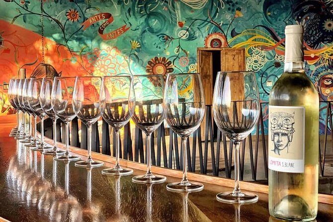 Wine tasting Valle de Guadalupe & Casa Frida - The Experience: Pros and Cons
