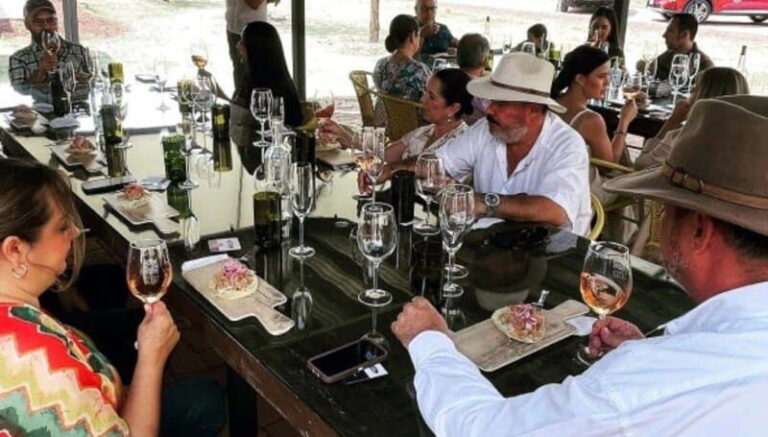 Wine tour and tasting at Vinícola Tierra de Luz - Who Will Love This Tour?