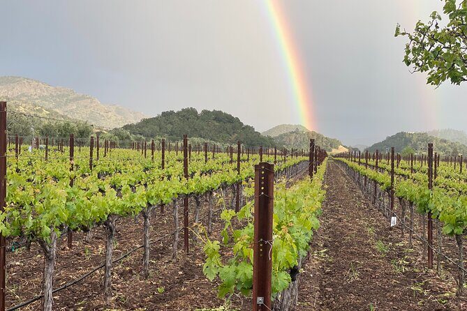 Wine Tour Pros - Sprinter Van Wine Tour: Up To 14 Guests - What’s Included and What’s Not
