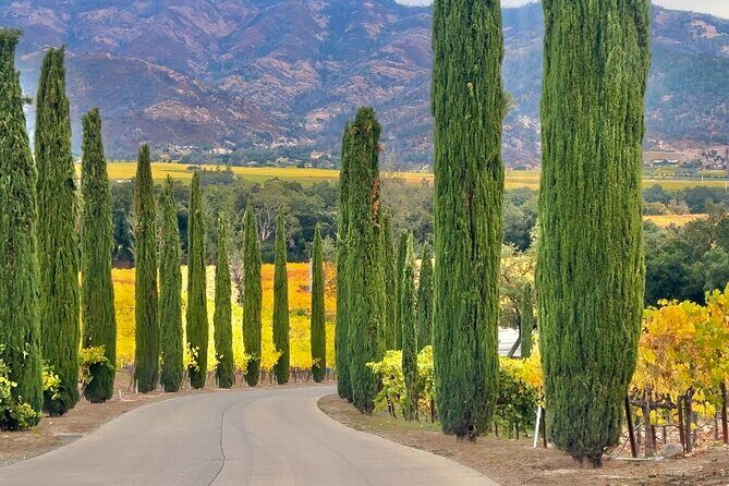 Wine Tour Transportation Services in Napa Valley - Why This Tour Offers Good Value